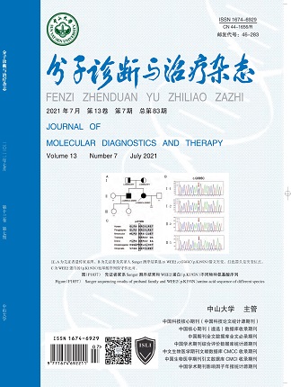 游艇会·yth206(中国)最新官方网站