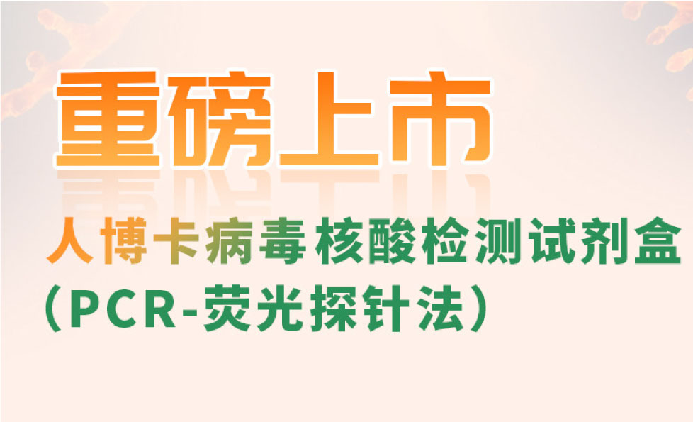 游艇会·yth206(中国)最新官方网站