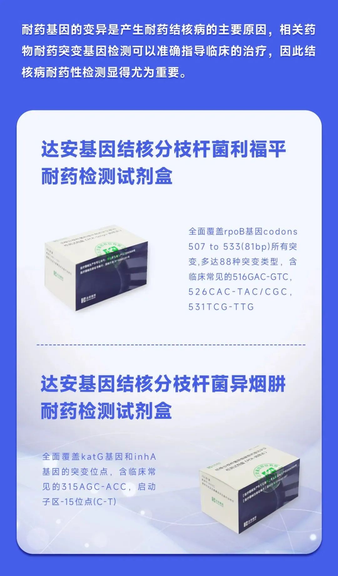 游艇会·yth206(中国)最新官方网站