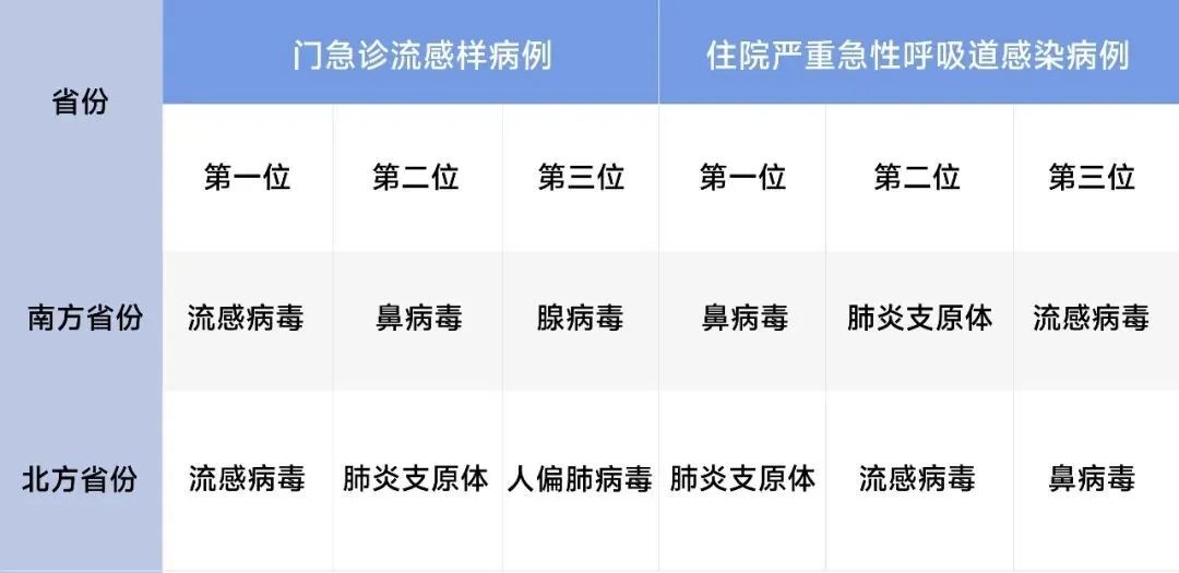 游艇会·yth206(中国)最新官方网站