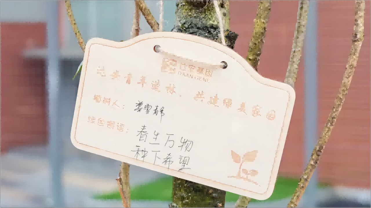 游艇会·yth206(中国)最新官方网站