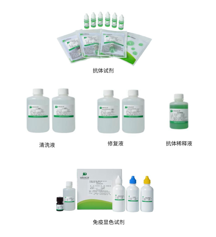 游艇会·yth206(中国)最新官方网站
