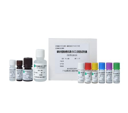 游艇会·yth206(中国)最新官方网站