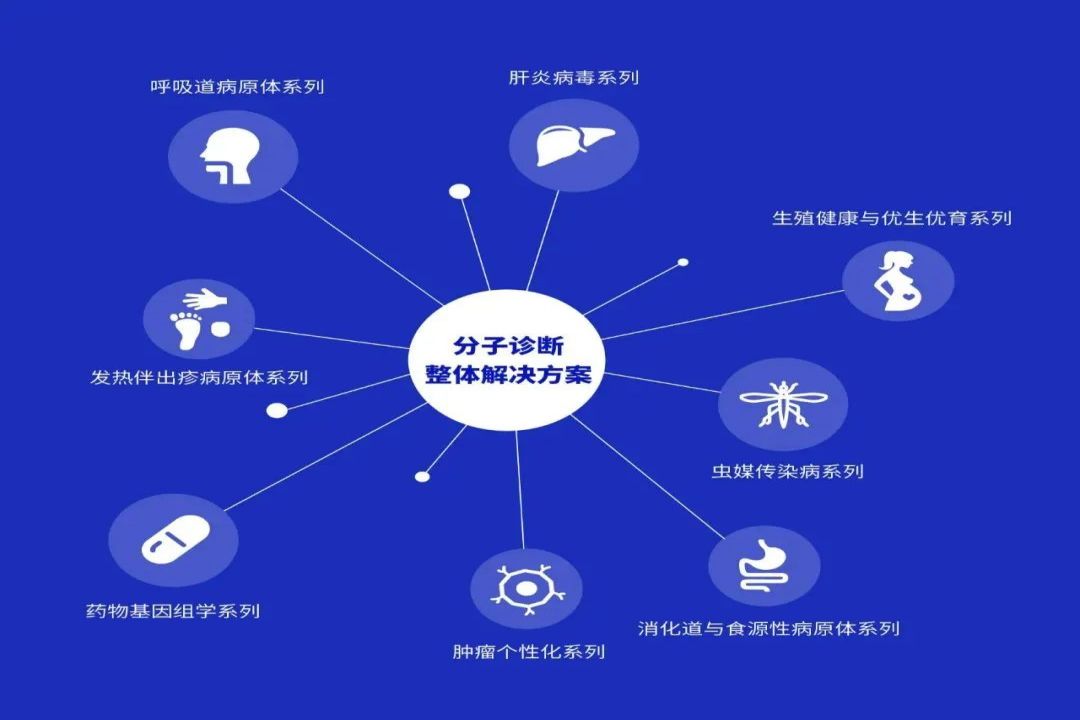 游艇会·yth206(中国)最新官方网站
