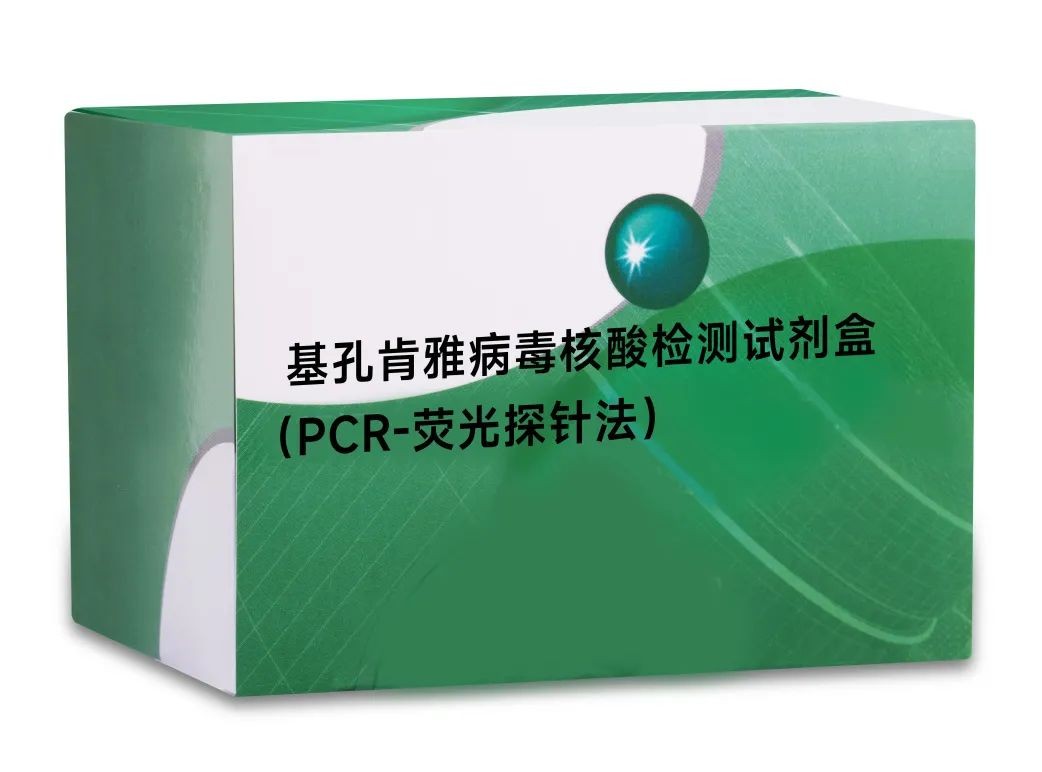 游艇会·yth206(中国)最新官方网站