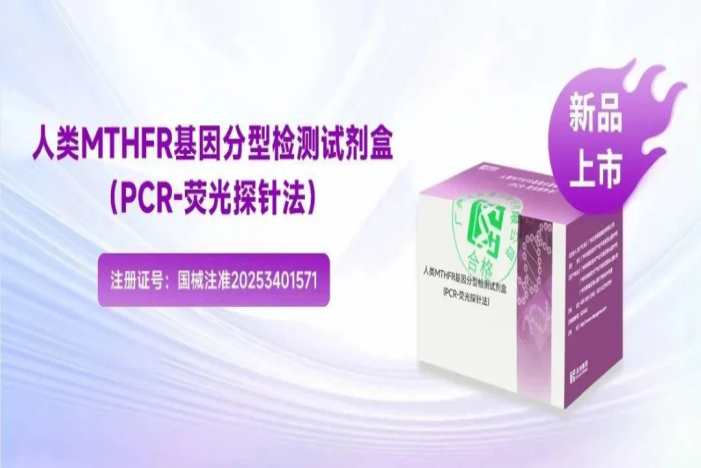 游艇会·yth206(中国)最新官方网站