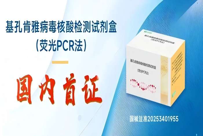 游艇会·yth206(中国)最新官方网站