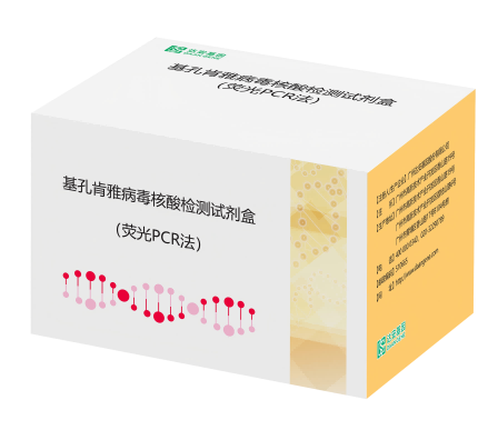 游艇会·yth206(中国)最新官方网站